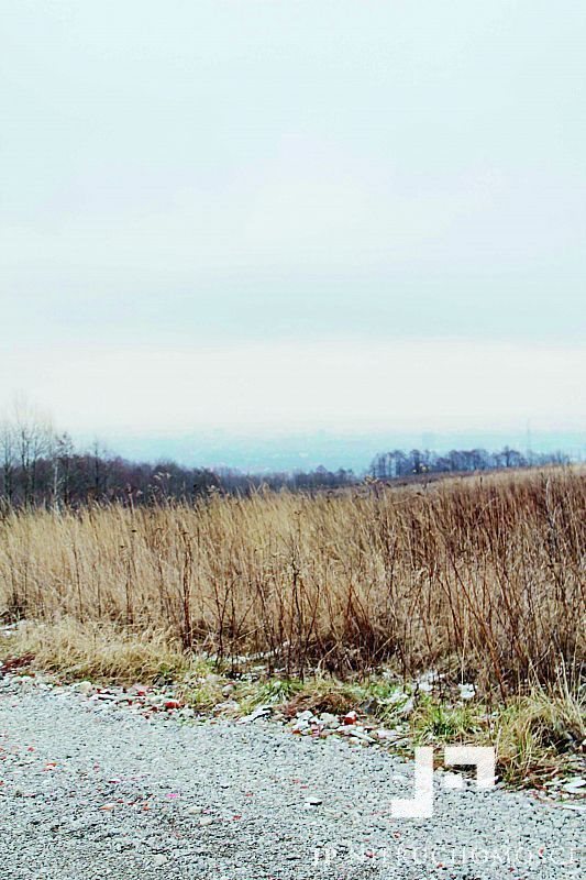 Działka budowlana na sprzedaż Matysówka, Matysówka 850m2 Foto 3