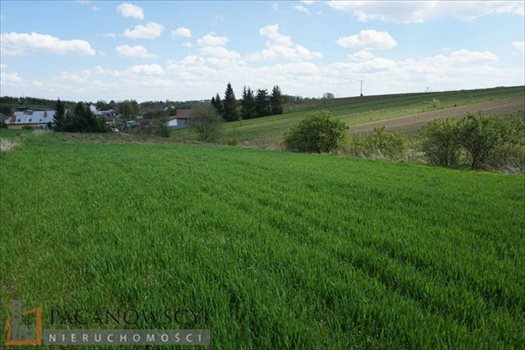 Działka budowlana na sprzedaż Cianowice Duże 2 990m2 Foto 5