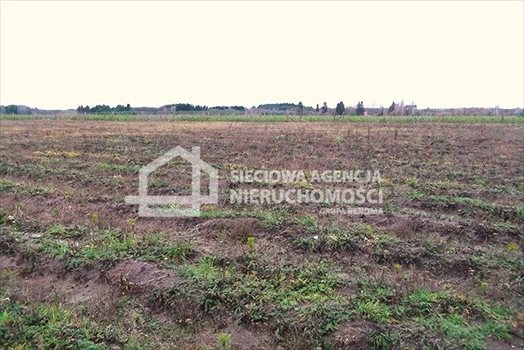 Działka leśna na sprzedaż Strzeczona 129 577m2 Foto 7