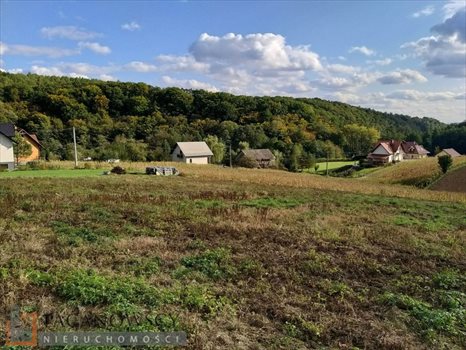 Działka budowlana na sprzedaż Owczary 3 000m2 Foto 4