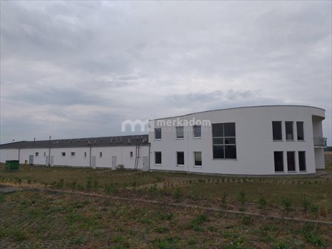 Lokal użytkowy na sprzedaż Tarnowo Podgórne 4 000m2 Foto 2