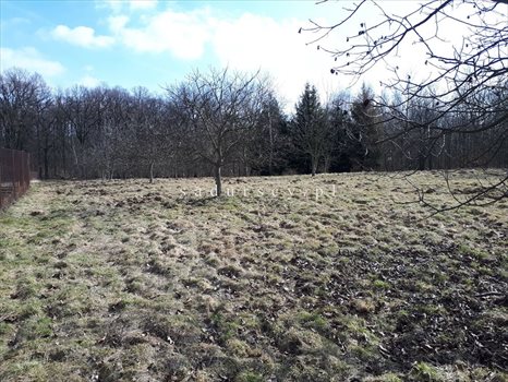 Działka budowlana na sprzedaż Kraków, Krowodrza, Wola Justowska, Orla 5 766m2 Foto 5