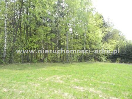 Działka budowlana na sprzedaż Pisarzowa 2 100m2 Foto 7