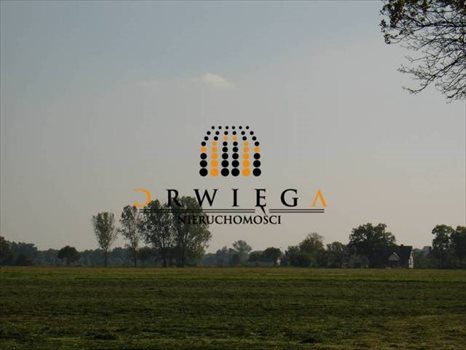 Działka budowlana na sprzedaż Gościnowo 1 200m2 Foto 3