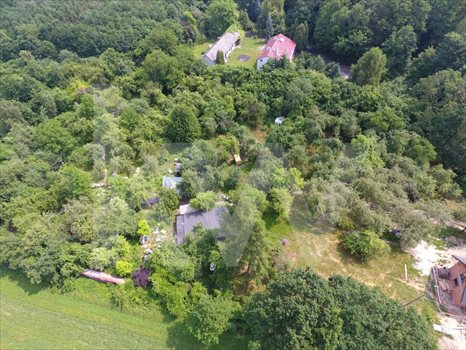 Działka budowlana na sprzedaż Szałsza, Leśna 727m2 Foto 9