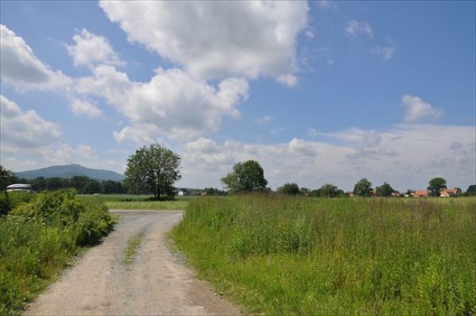 Działka budowlana na sprzedaż Rogów Sobócki, Szkolna 1 731m2 Foto 6