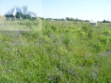 Działka budowlana na sprzedaż Poniatów 929m2 Foto 4