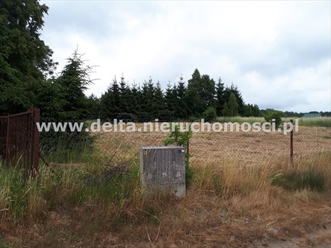 Działka budowlana na sprzedaż Izbica 1 248m2 Foto 4