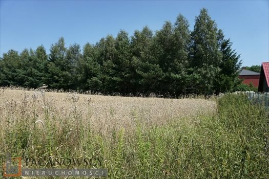 Działka inna na sprzedaż Cianowice Duże 8 300m2 Foto 3