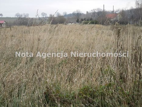 Działka budowlana na sprzedaż Wałbrzych, Lubiechów 1 100m2 Foto 5