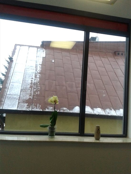 Lokal użytkowy na sprzedaż Łomianki, Warszawska 224m2 Foto 6