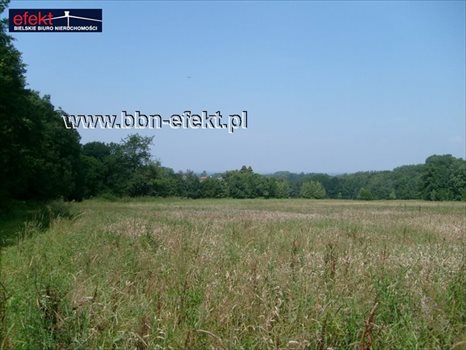 Działka budowlana na sprzedaż Grodziec 1 220m2 Foto 3