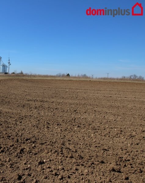 Działka inna na sprzedaż Lulkowo, Łysomice 3 000m2 Foto 1