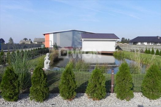 Lokal użytkowy na sprzedaż Ostrów Wielkopolski, Wysocko Wielkie, Wylotowa 1 234m2 Foto 9