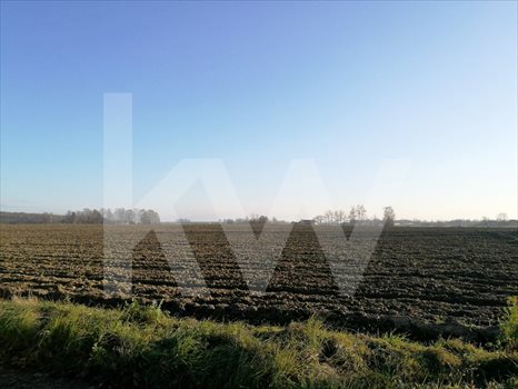 Działka budowlana na sprzedaż Ćwiklice 800m2 Foto 3