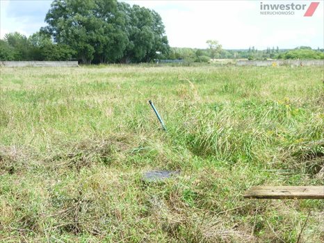 Działka budowlana na sprzedaż Wołczkowo 3 000m2 Foto 8