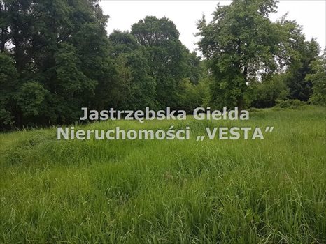 Działka inna na sprzedaż Jastrzębie-Zdrój 1 410m2 Foto 5