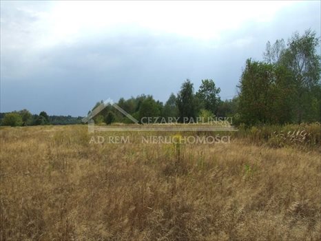 Działka budowlana na sprzedaż Nowodwór 2 800m2 Foto 1