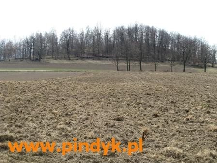 Działka budowlana na sprzedaż polska, Łomnica, Łomnica 3 118m2 Foto 7