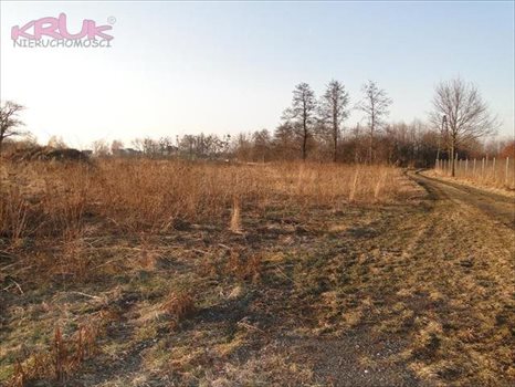 Działka inwestycyjna na sprzedaż Wrocław, Psie-Pole, Pełczyńska 3 000m2 Foto 5