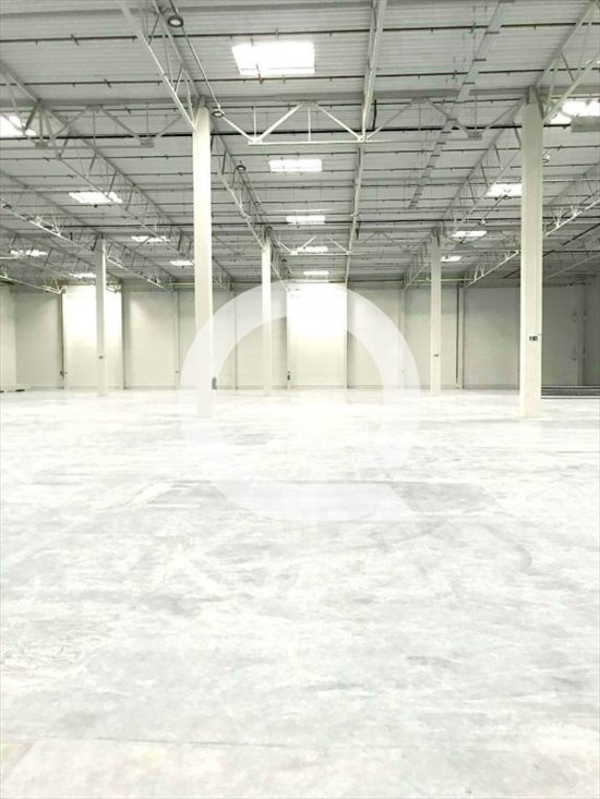Lokal użytkowy na wynajem Gdańsk, Szadółki 2 400m2 Foto 6