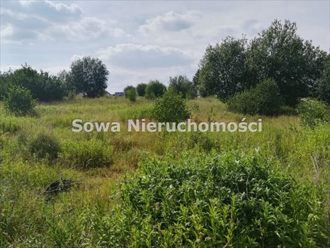 Działka budowlana na sprzedaż Wałbrzych, Poniatów 1 653m2 Foto 4