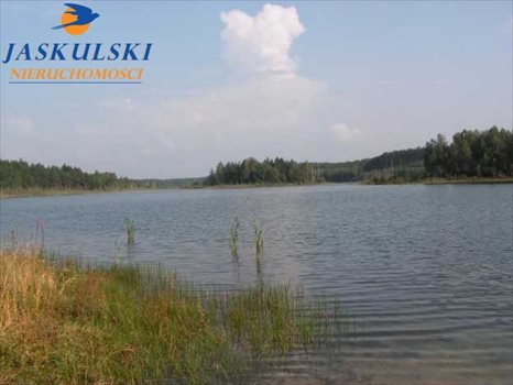 Działka rolna na sprzedaż Kościerzyna 57 810m2 Foto 4