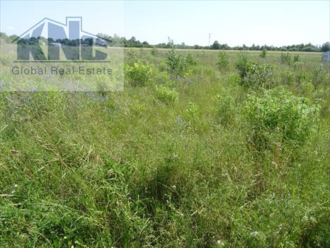 Działka budowlana na sprzedaż Poniatów 929m2 Foto 2