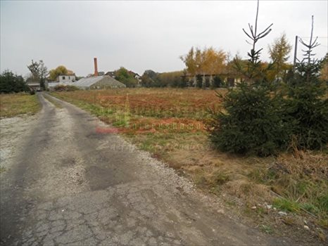 Działka inna pod dzierżawę Wrocław, Psie Pole 1 498m2 Foto 4