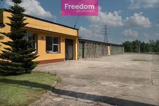 Lokal użytkowy na sprzedaż Knopin 1 527m2 Foto 6