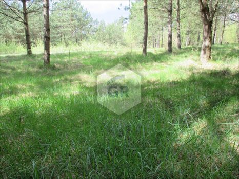 Działka budowlana na sprzedaż Kościerzyna 1 254m2 Foto 2