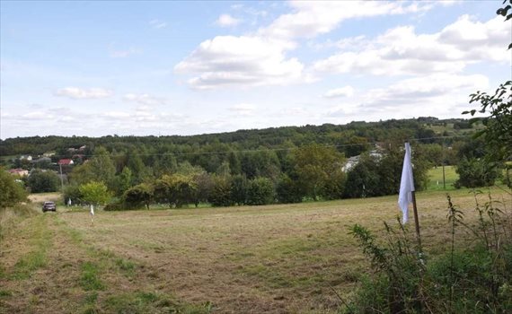 Działka rolna pod dzierżawę Iwonicz, Zadwór 2 400m2 Foto 4