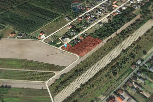 Działka budowlana na sprzedaż Głowno 6 447m2 Foto 3