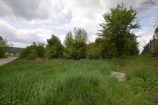 Działka budowlana na sprzedaż Ostrów 3 800m2 Foto 10