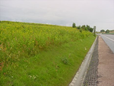 Działka przemysłowo-handlowa na sprzedaż Jankowo Gdańskie, JANKOWO GDAŃSKIE, OBWODOWA 20 000m2 Foto 1
