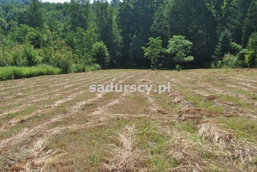 Działka budowlana na sprzedaż Kraków, Swoszowice, Soboniowice, Heleny Chanieckiej 2 860m2 Foto 3