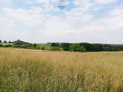 Działka budowlana na sprzedaż Bielsko-Biała, Hutnicza 1 961m2 Foto 5