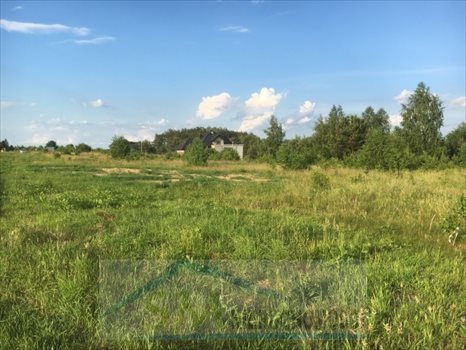 Działka budowlana na sprzedaż Dosin, działka budowlana do zabudowy jednorodzinnej i usług nieucią 900m2 Foto 4