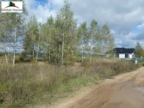 Działka budowlana na sprzedaż Woszczele, Woszczele 1 301m2 Foto 2