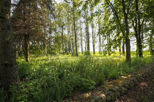 Dom na sprzedaż Jankowo 250m2 Foto 2