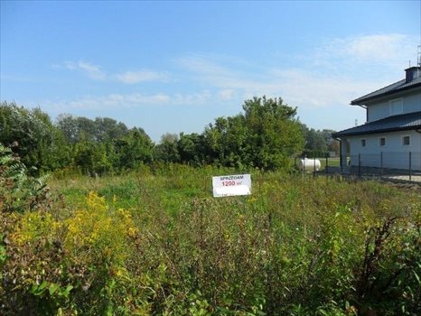Działka budowlana na sprzedaż Warszawa, Wilanów, Ruczaj 1 200m2 Foto 2