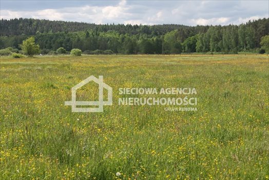 Działka budowlana na sprzedaż Lubowidz 1 083m2 Foto 5