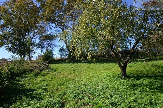 Działka budowlana na sprzedaż Wyszatyce 3 800m2 Foto 1