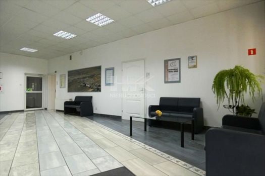 Lokal użytkowy na sprzedaż Zgorzelec 1 022m2 Foto 3