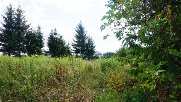 Działka budowlana na sprzedaż Kobylnica, Dolinowa 1 256m2 Foto 6