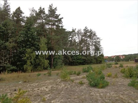 Działka budowlana na sprzedaż Prace Duże 1 445m2 Foto 6