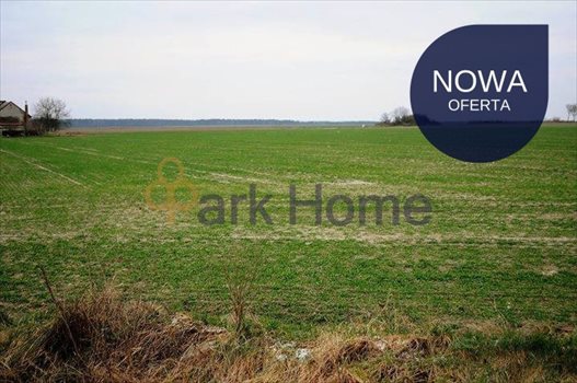 Działka budowlana na sprzedaż Szlichtyngowa 1 223m2 Foto 1