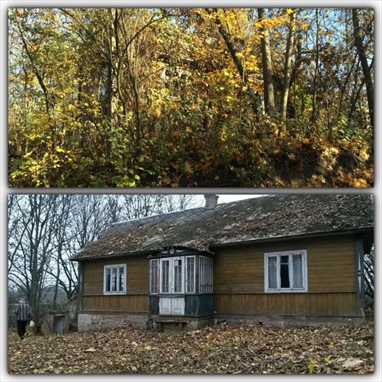Działka budowlana na sprzedaż Horoszczyce 3 100m2 Foto 11