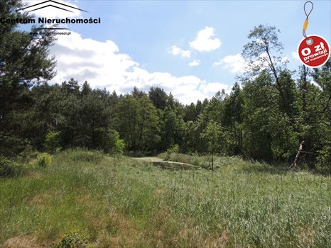 Działka siedliskowa na sprzedaż Krzyż 24 900m2 Foto 2