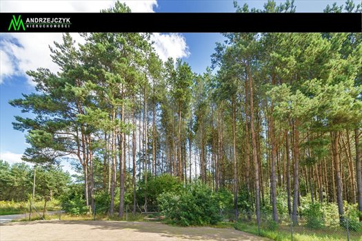 Działka inna na sprzedaż Bojano, Łokietka 1 000m2 Foto 1